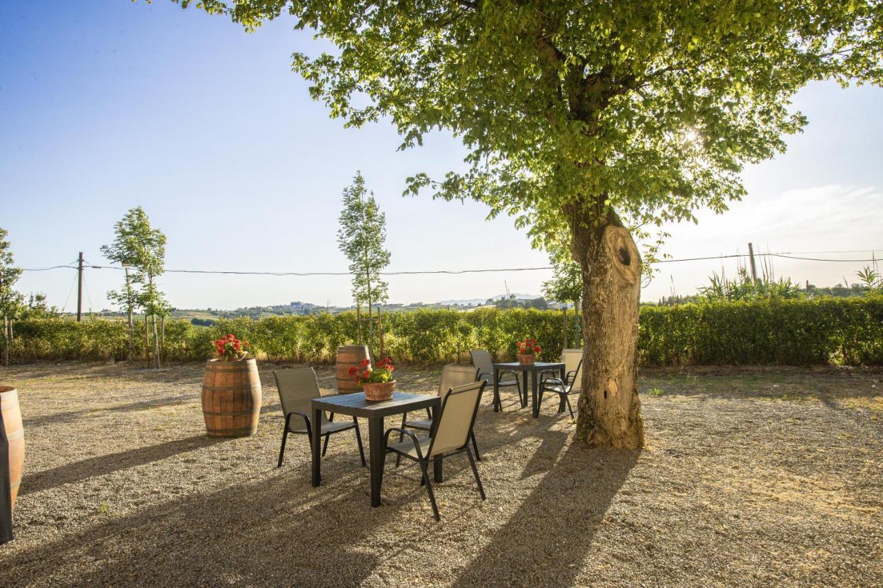 Agriturismo Streda Wine & Country Holiday Βίντσι Εξωτερικό φωτογραφία