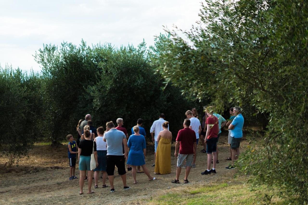 Agriturismo Streda Wine & Country Holiday Βίντσι Εξωτερικό φωτογραφία